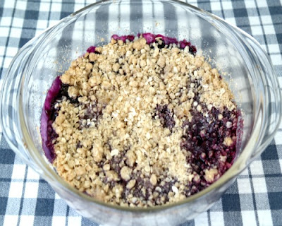 Homemade Blueberry Crisp Recipe